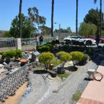 Tortoise_028 (June 17, 2017)